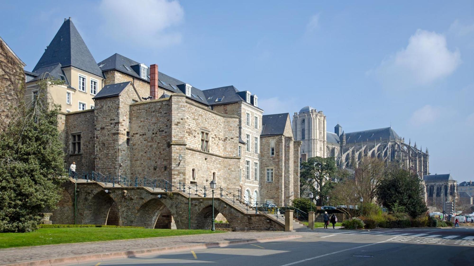 Le Refuge En Chene Appartement Le Mans